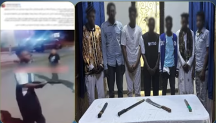 مشاجرة بأسوان بين جنسيات أجنبية.. ضبط 7 أشخاص بحوزتهم أسلحة بيضاء